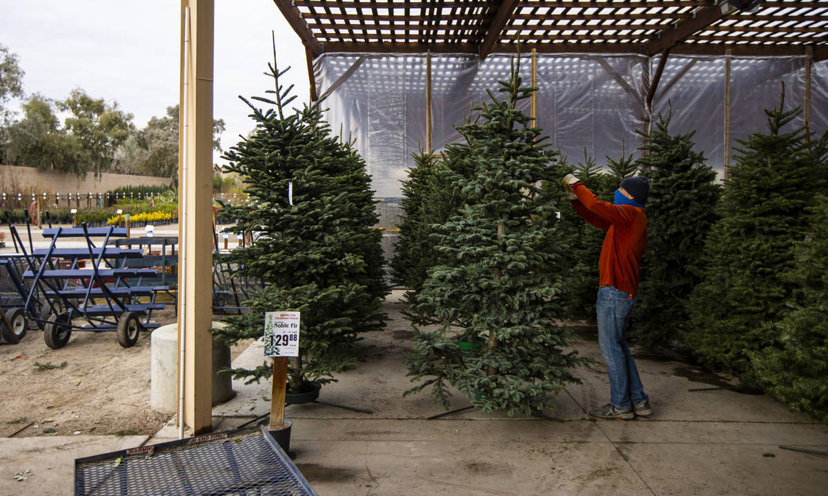 Brian Beeler en ventas al aire libre, se prepara para mover un árbol de Navidad para los clien ...