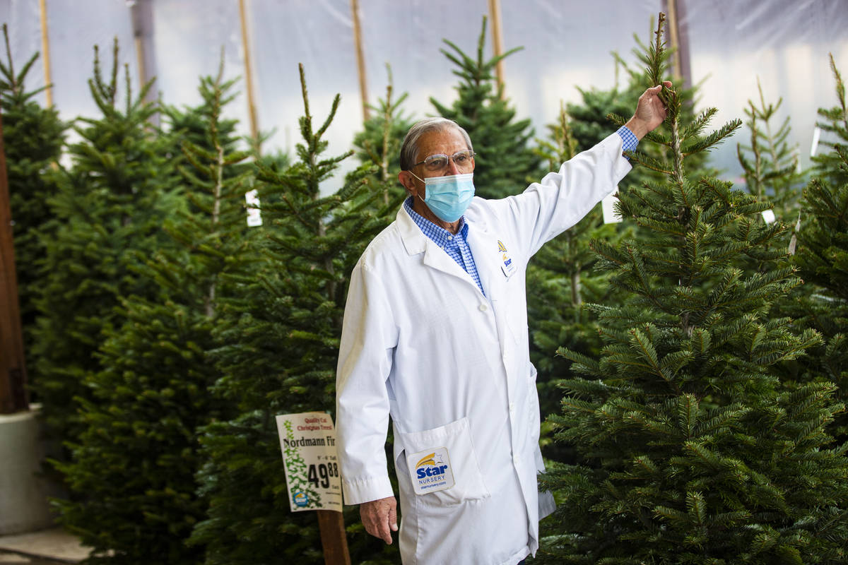 Paul Noe, experto en horticultura de Star Nursery, habla de los árboles de Navidad en Star Nur ...