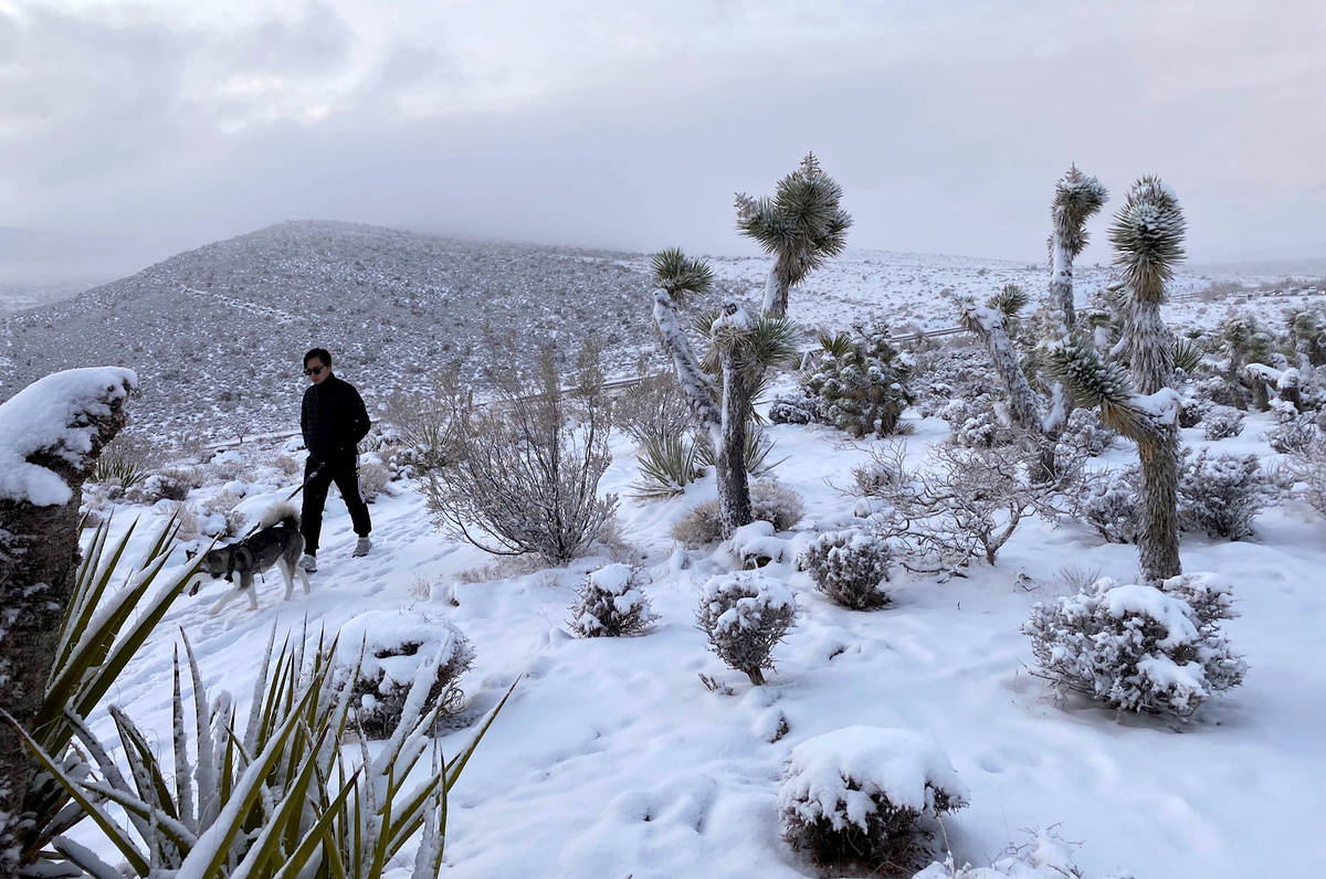 Un visitante camina por un sendero nevado en la cima del mirador del Red Rock Conservation Area ...