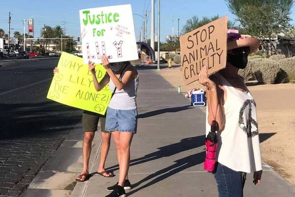 Manifestantes se reunieron frente al Ayuntamiento de North Las Vegas a principios de septiembre ...