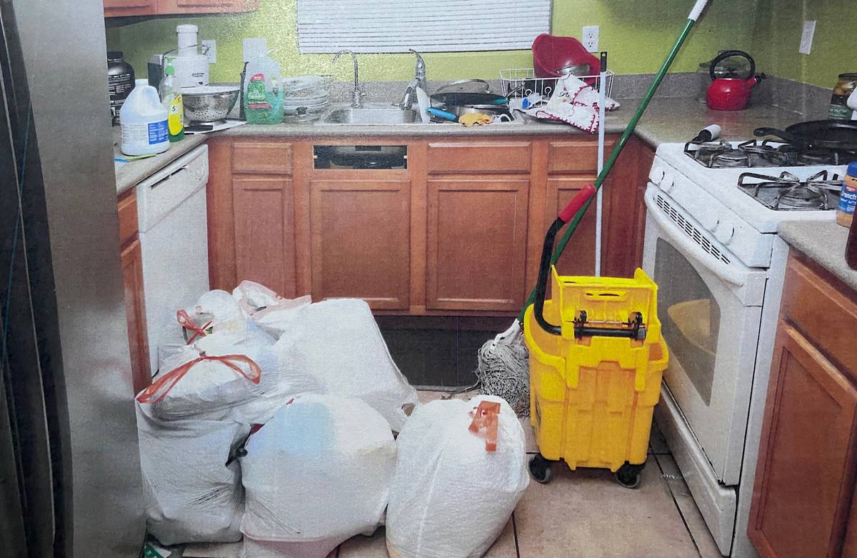 Esta foto de evidencia muestra los artículos de limpieza dentro de la casa de José Rangel y s ...