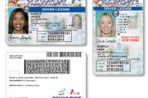 Muestras de licencias de conducir de Nevada. (Archivo del DMV)