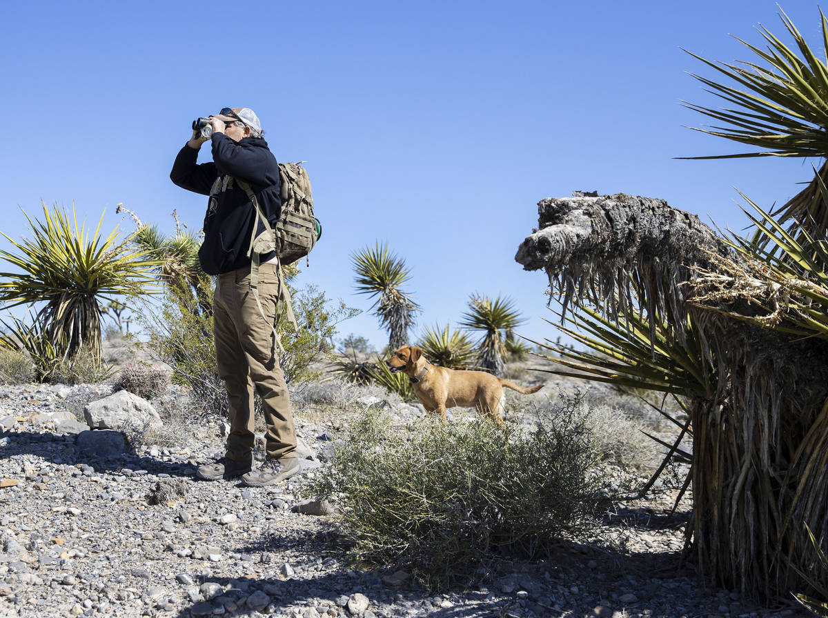 Christian Daniels, de 15 años, recupera globos perdidos en el desierto con su perro, Ruby, el ...