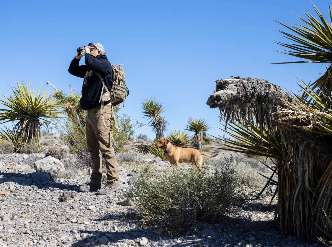 Christian Daniels, de 15 años, recupera globos perdidos en el desierto con su perro, Ruby, el ...
