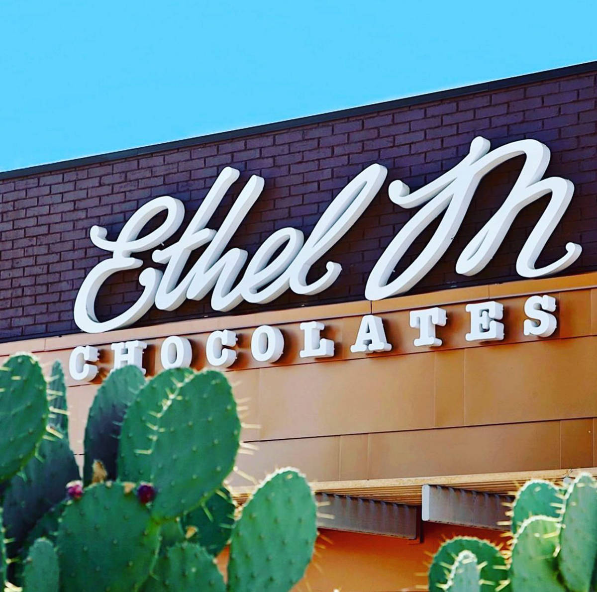 Junto al Jardín de Cactus, la entrada de la fábrica de chocolates “Ethel M”. [Foto cortes ...