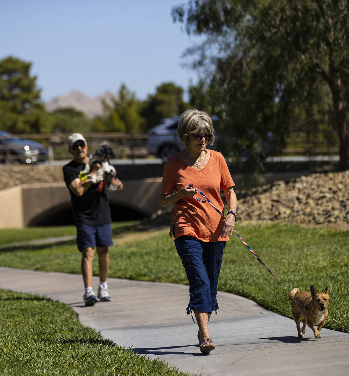Carol Liberty pasea a su perro, Mikey, en Sun City Summerlin el viernes, 28 de mayo de 2021. (C ...