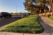 Tráfico pasa por un paisaje de césped en Green Valley Parkway, en los suburbios de Henderson, ...