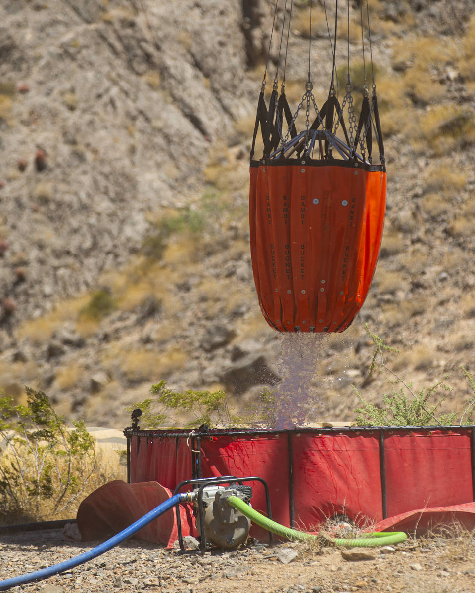 Rick Thielmann, jefe de pilotos del Nevada Department of Wildlife, libera agua con un “Bambi ...