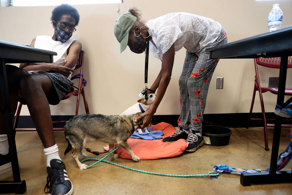 Marie Smith, de 62 años, revisa a sus perros Clyde, atrás, y Keekee mientras su hijo, Michael ...