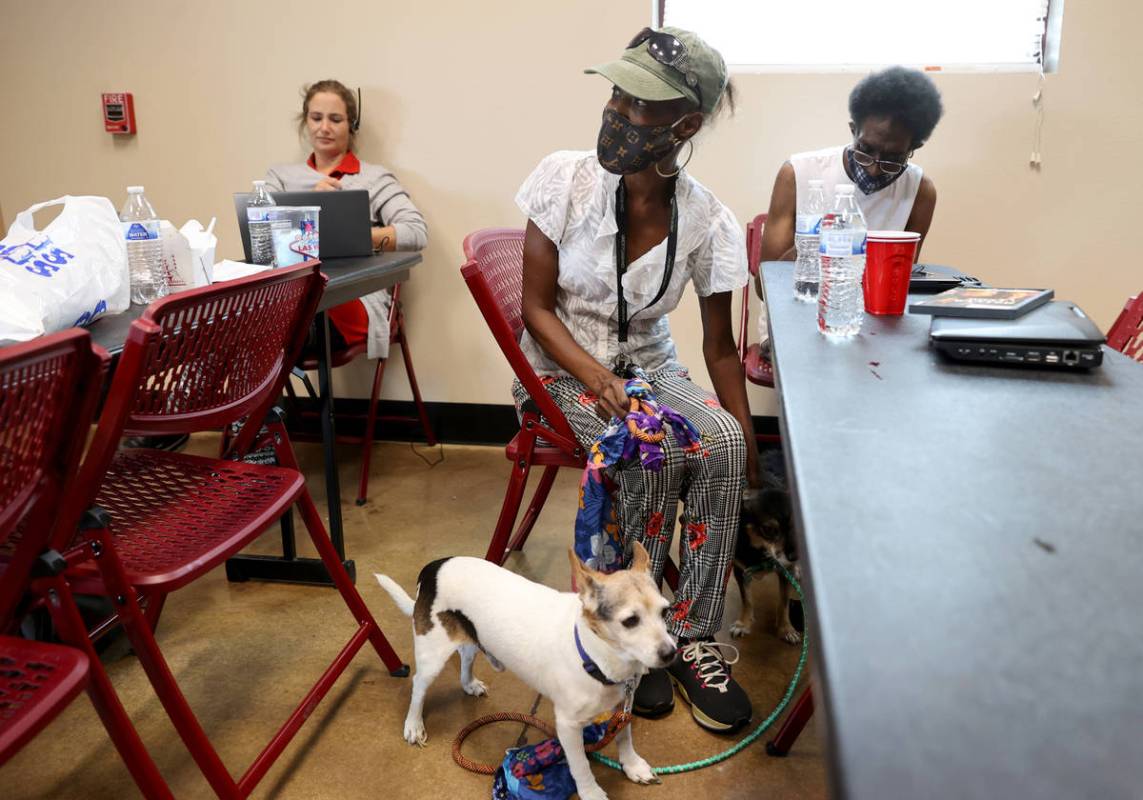 Marie Smith, de 62 años, revisa a sus perros Clyde, a la izquierda, y Keekee en la estación d ...