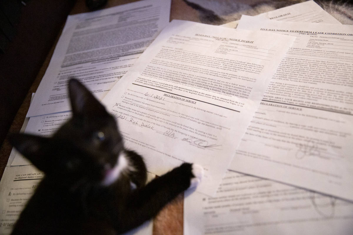 El gatito de Nancy Williams se sube a una pila de avisos de desalojo en su apartamento de Siege ...