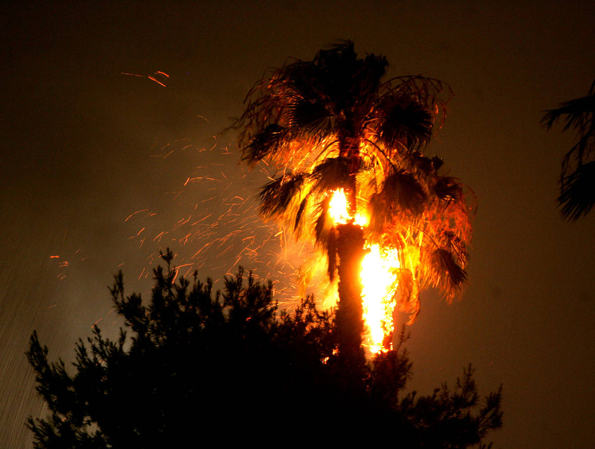 Foto de archivo: Las llamas consumen una palmera cerca de la calle Spencer y la avenida Reno de ...