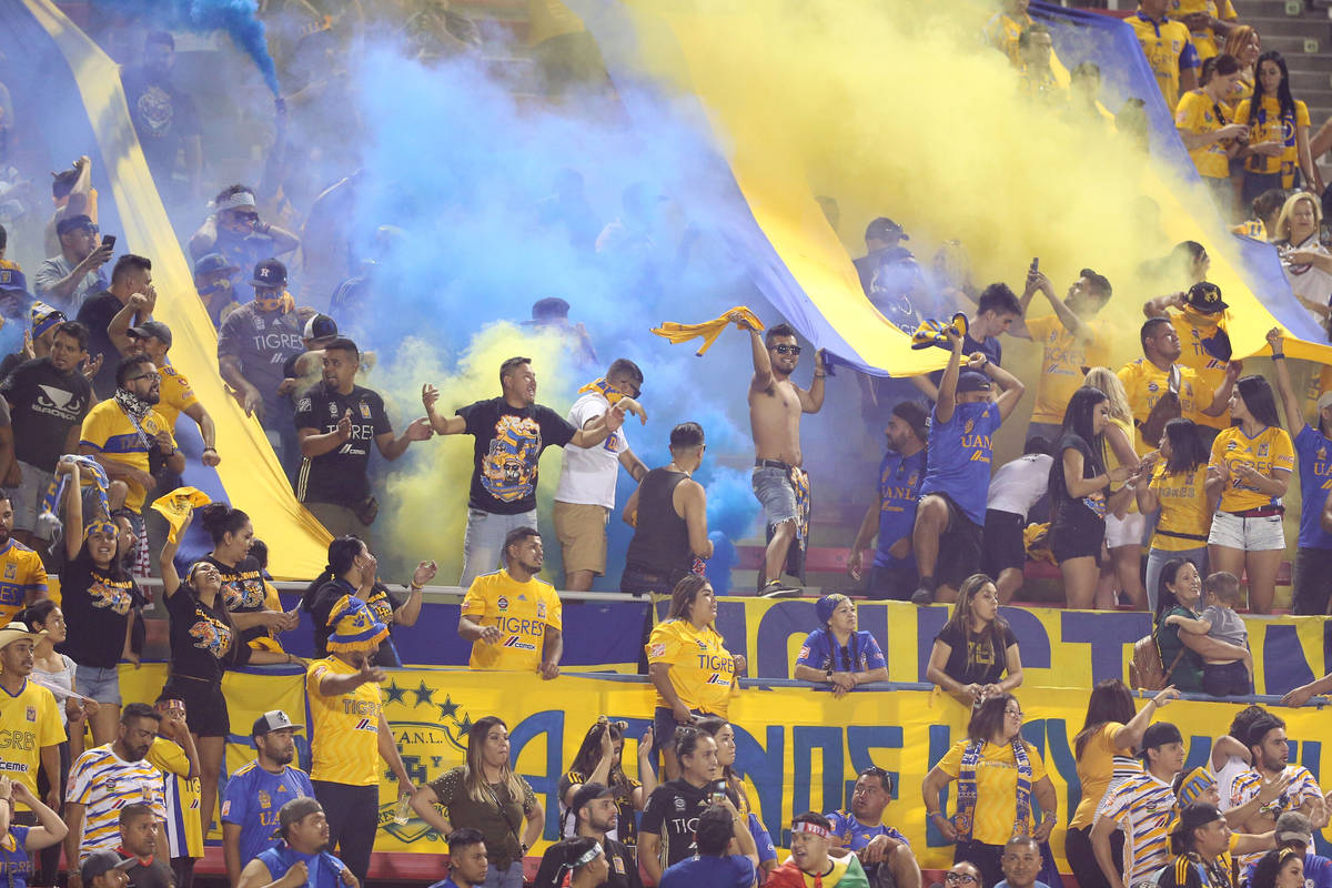 Fans celebran un gol de Tigres contra Cruz Azul durante el segundo tiempo del partido de la Lea ...