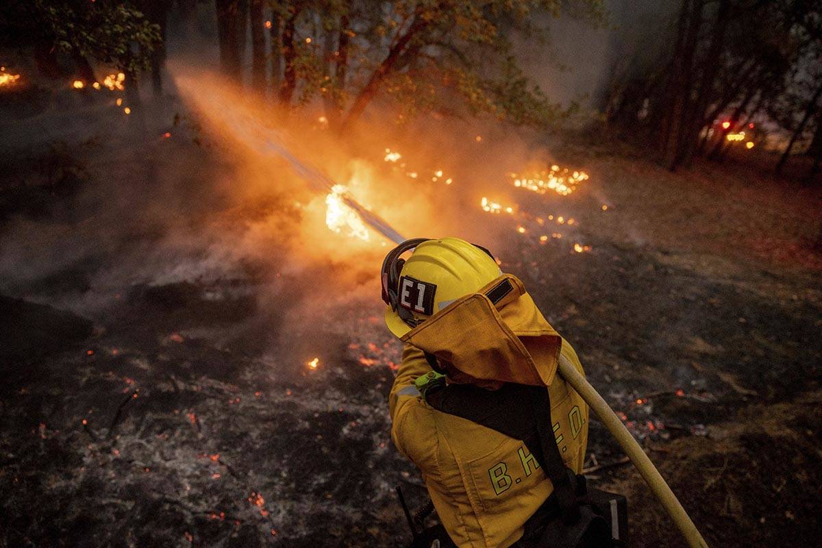 Un bombero riega con una manguera las llamas del Incendio Dixie en Genesee, California, el sáb ...