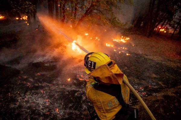 Un bombero riega con una manguera las llamas del Incendio Dixie en Genesee, California, el sáb ...