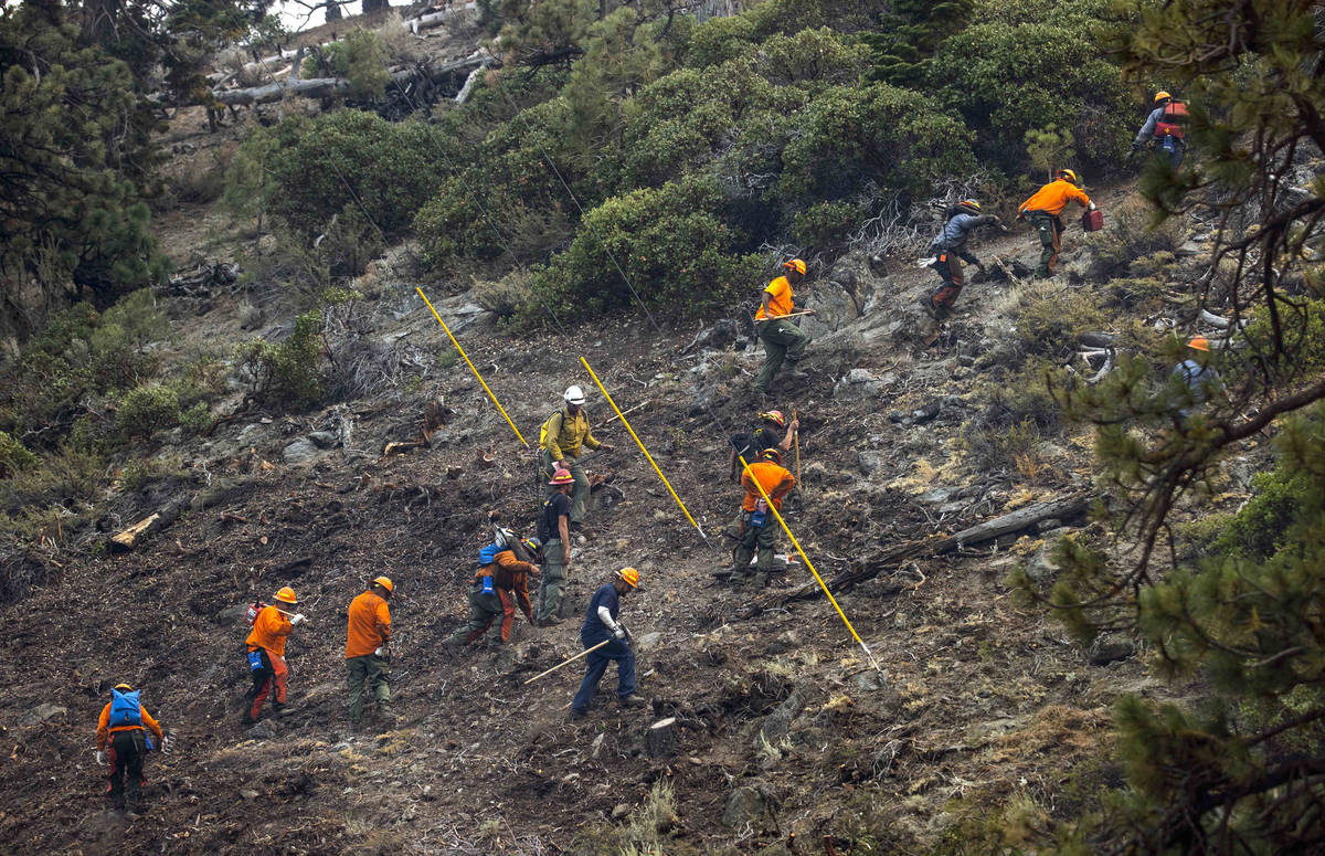 Un equipo de bomberos sube por una cresta a lo largo de la SR 207 del "Caldor Fire” el miérc ...