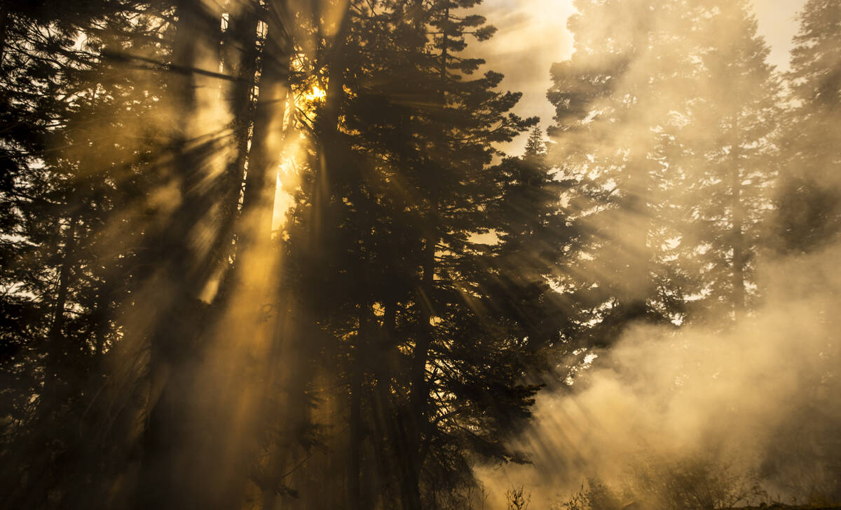 La luz del sol se filtra a través del humo y los árboles mientras el “Caldor Fire" sigue ar ...