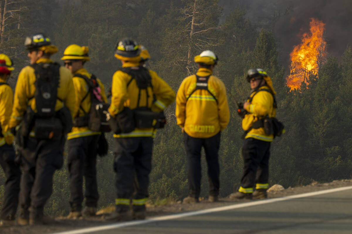 Los bomberos de la División de Bosques se reúnen mientras las llamas estallan en una cresta c ...