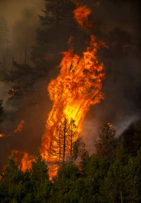 Las llamas estallan en los árboles de una cresta cercana sobre el Lago Caples mientras el “C ...