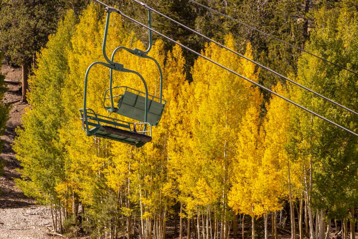 Un rodal de álamos adquiere color en el primer día del otoño cerca de la estación de esquí ...