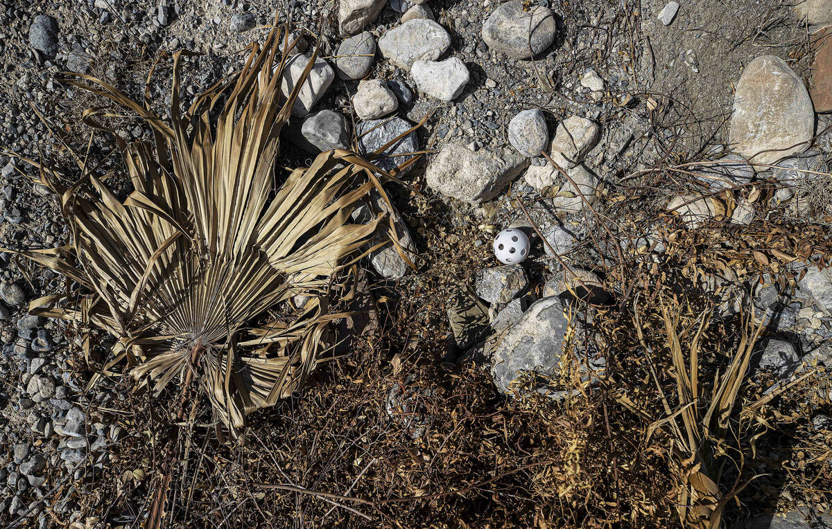 Una pelota de wiffle descansa entre el follaje seco en un campo vacío el sábado 9 de octubre ...