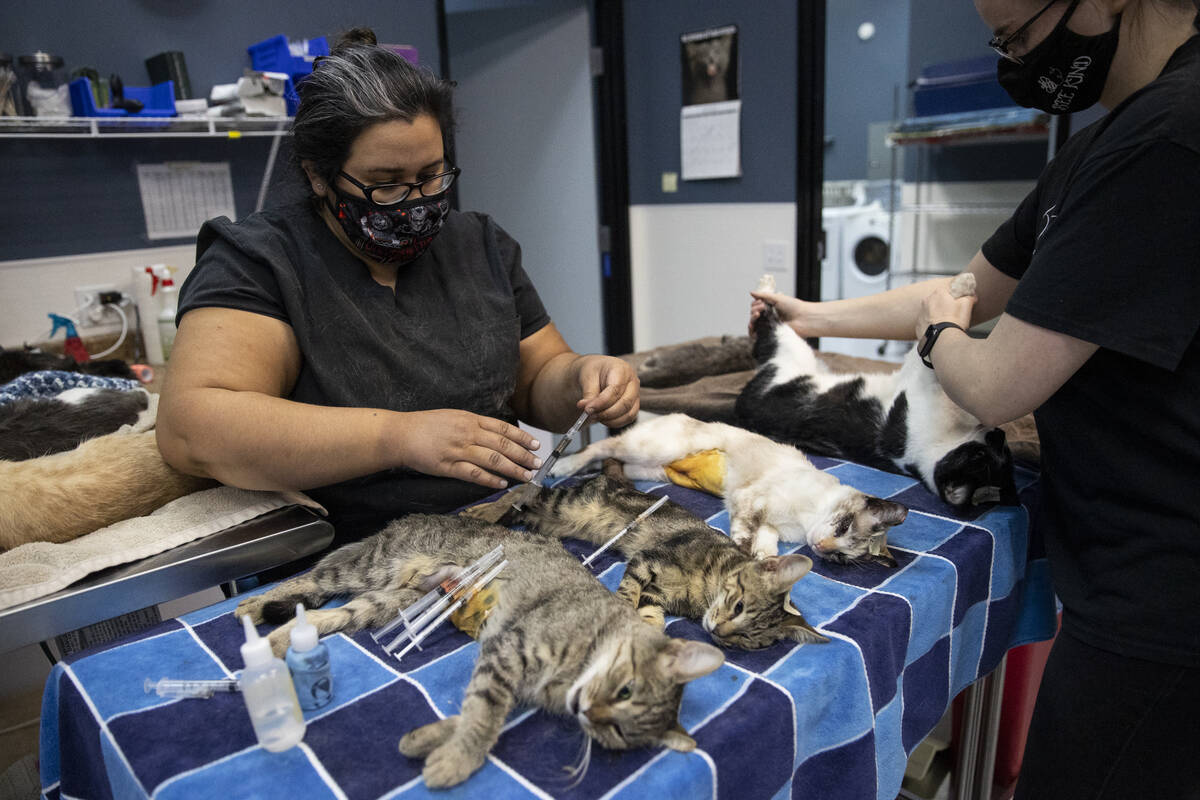 La técnica veterinaria licenciada Elizabeth Rada, a la izquierda, con la voluntaria Kim Heath, ...