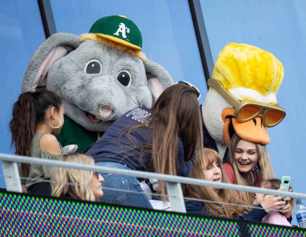 La mascota de los Oakland Athletics, "Stomper", a la izquierda, y la mascota de los Aviators, " ...