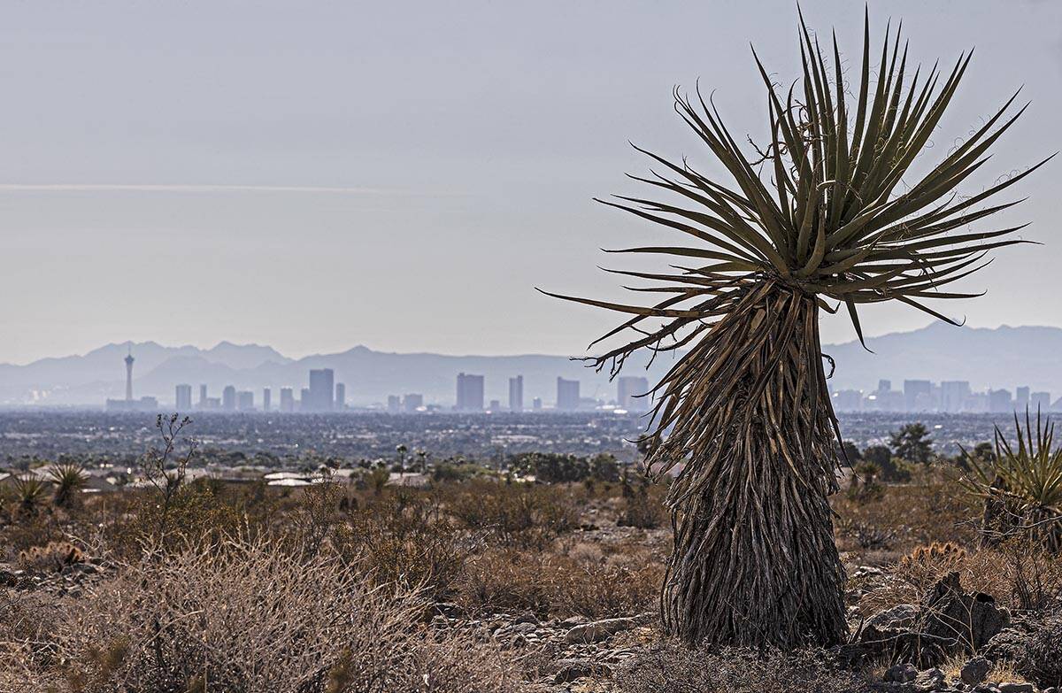 El horizonte de Las Vegas desde un campo vacío el sábado 9 de octubre de 2021, en Las Vegas. ...