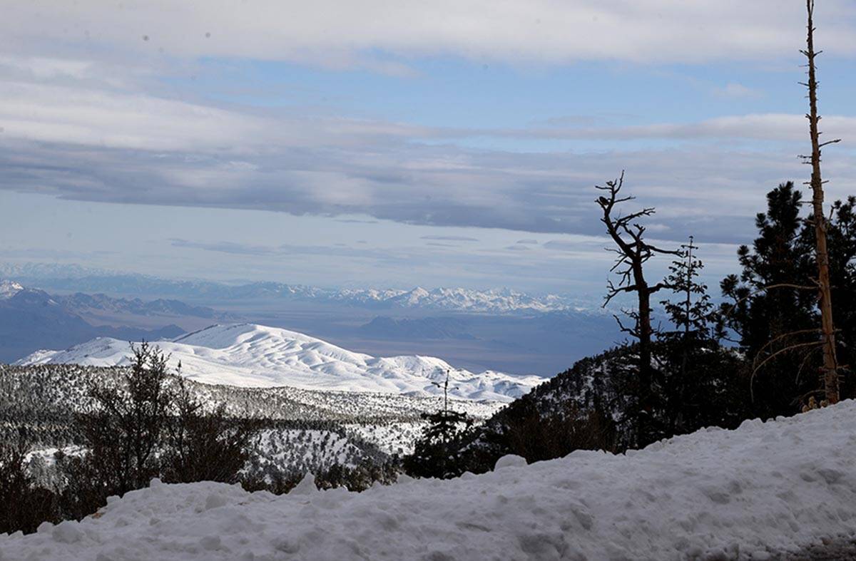 Nieve recién caída en Mount Charleston , al noroeste de Las Vegas, el martes 12 de octubre de ...