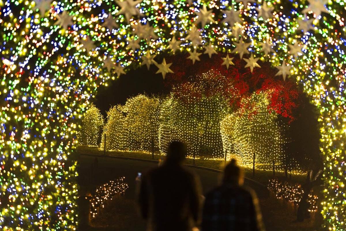 Los visitantes caminan a través de un túnel de luz en un espectáculo de luces de Holiday Roa ...