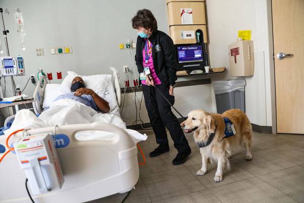 Jennifer Pollock, voluntaria de Lutheran Church Charities Comfort Dogs, sostiene a Lois mientra ...