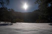 El sol brilla sobre la nieve nueva a lo largo de Upper Bristlecone Trail en Lee Canyon el viern ...