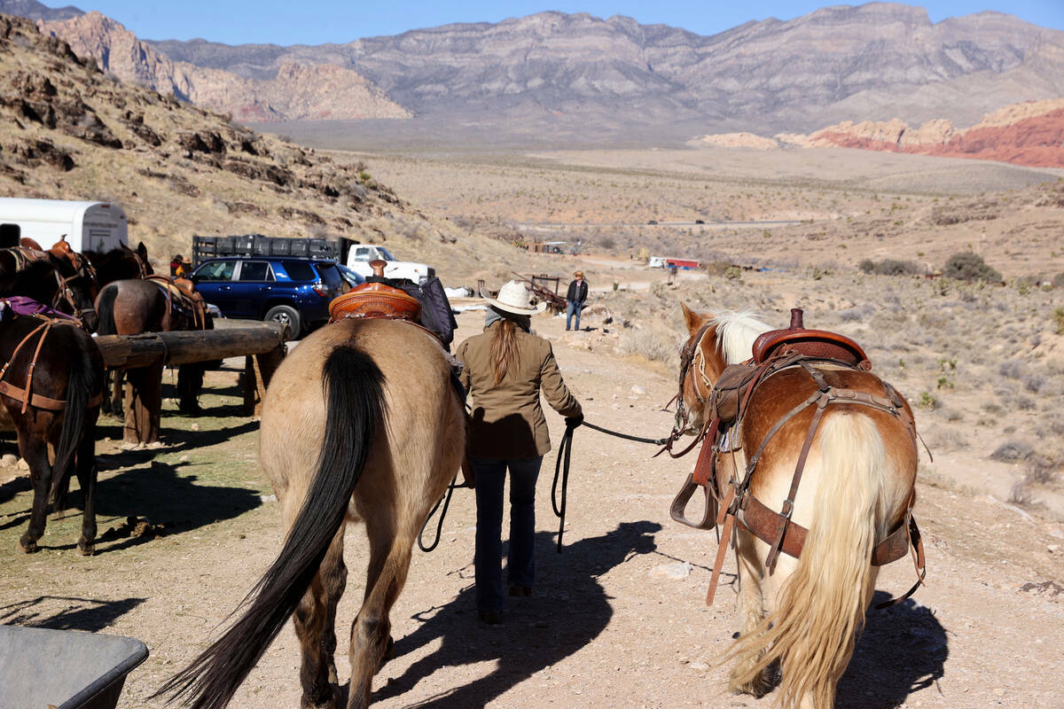La adiestradora Kellie Yager trabaja con caballos y mulas en Cowboy Trail Rides en Red Rock Can ...