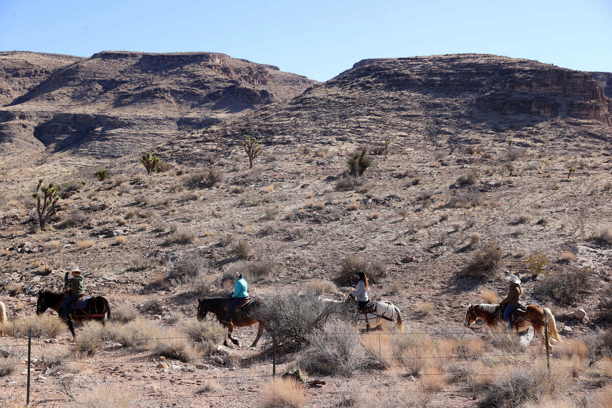 Invitados a caballo en Cowboy Trail Rides en Red Rock Canyon el martes 25 de enero de 2022. (K. ...