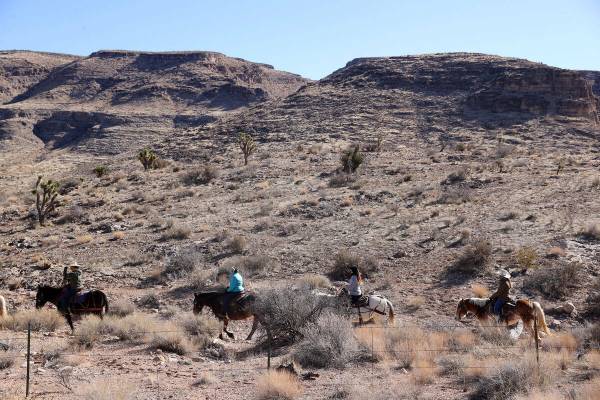 Invitados a caballo en Cowboy Trail Rides en Red Rock Canyon el martes 25 de enero de 2022. (K. ...