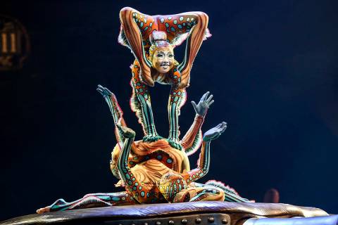 ARCHIVO.- Los miembros del elenco del Cirque du Soleil se presentan en el escenario durante el ...