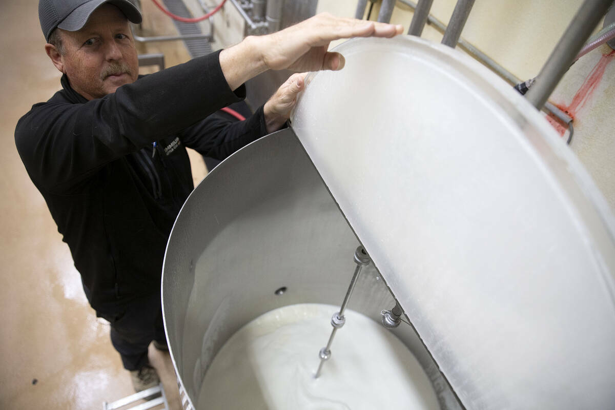 Ed Goedhart, gerente de Ponderosa Dairies, muestra cómo se toma la leche directamente de las v ...