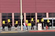 Azafatos de Spirit Airlines y simpatizantes protestan en el Aeropuerto Internacional Harry Reid ...