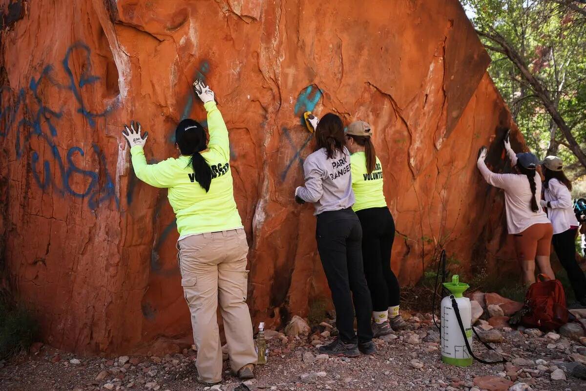 Voluntarios se preparan para eliminar grafitis en el sendero de Ash Springs en Red Rock Canyon ...
