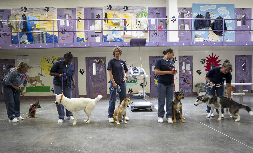La organización Heaven Can Wait ha reanudado su programa “Pups on Parole”, dedicado a que ...