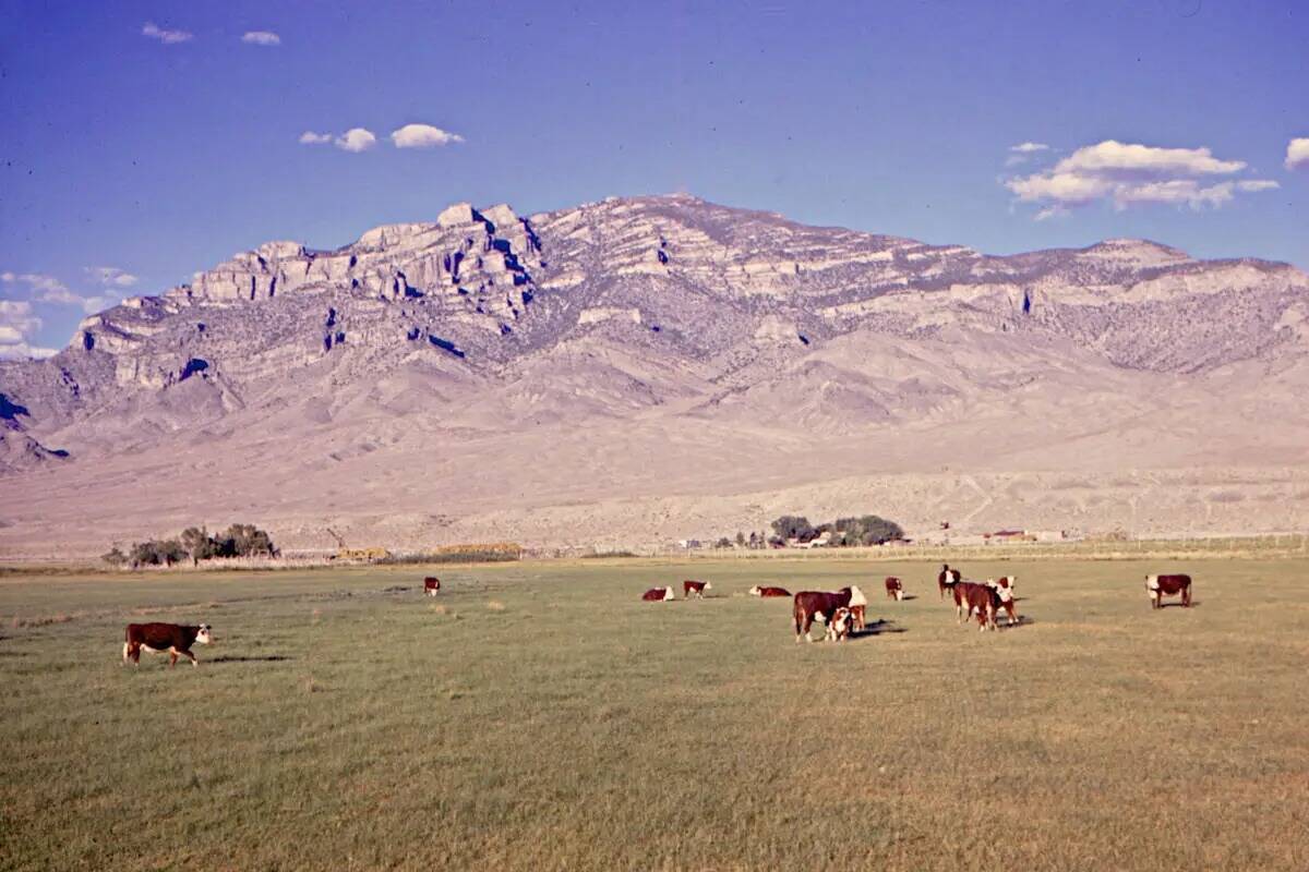 Rancho Blue Eagle en 1964, con la montaña Blue Eagle elevándose al fondo. (Jeanne Sharp Howerton)