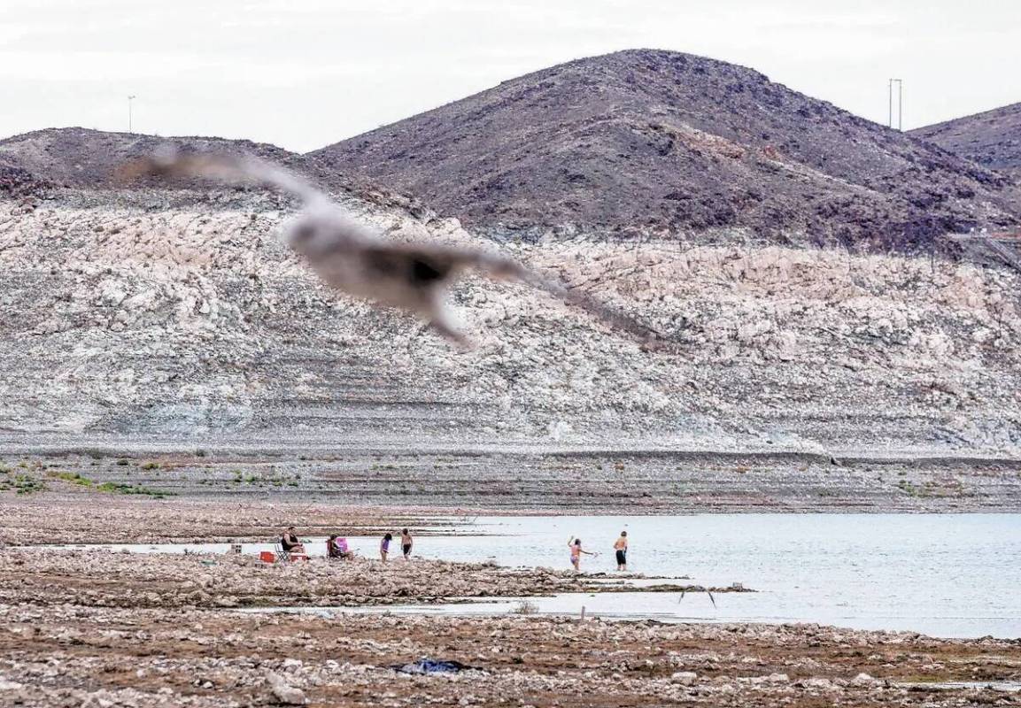 Gente disfruta de Boulder Beach hasta la línea de flotación donde se encontró un cuerpo en S ...