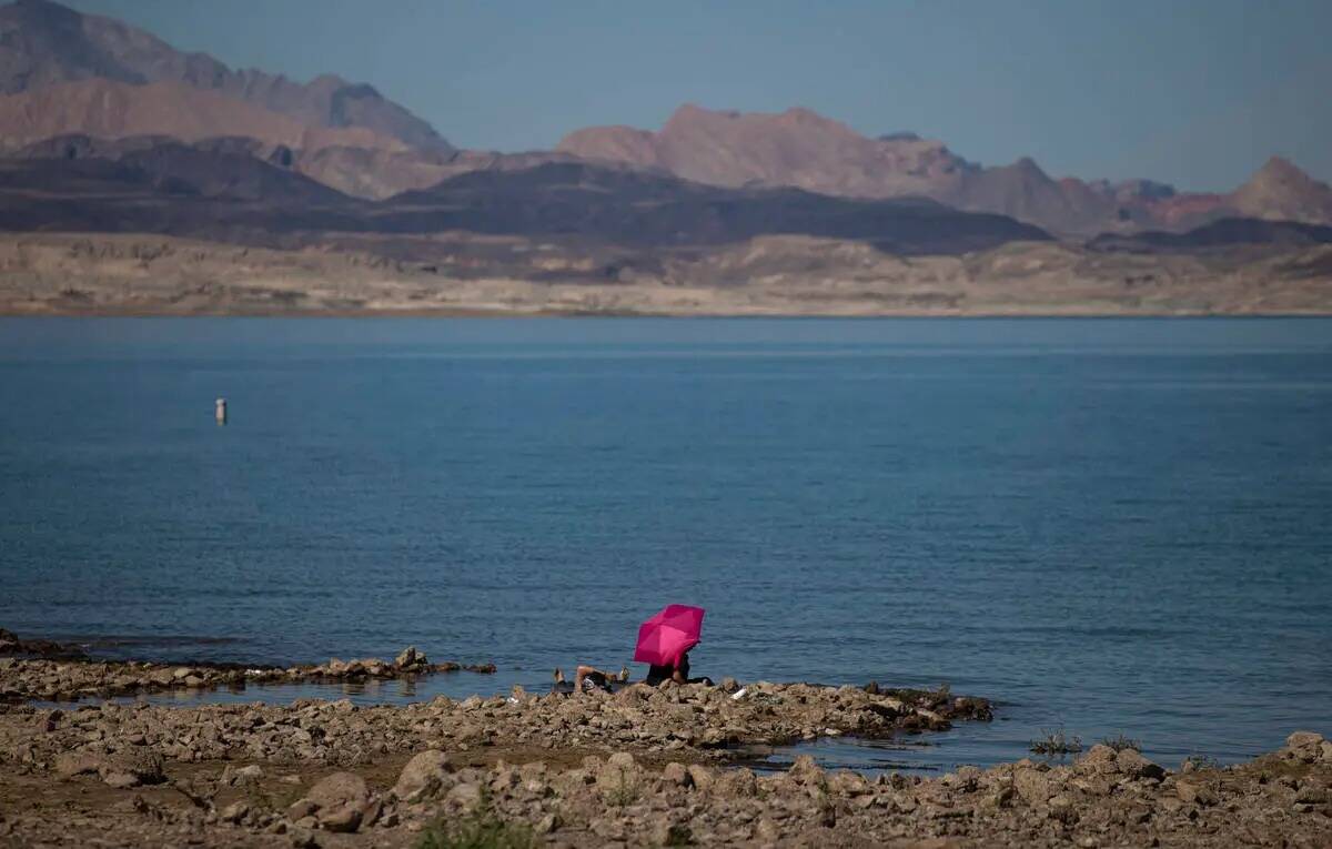 Swim Beach en el Lake Mead National Recreation el domingo 7 de agosto de 2022, un día después ...