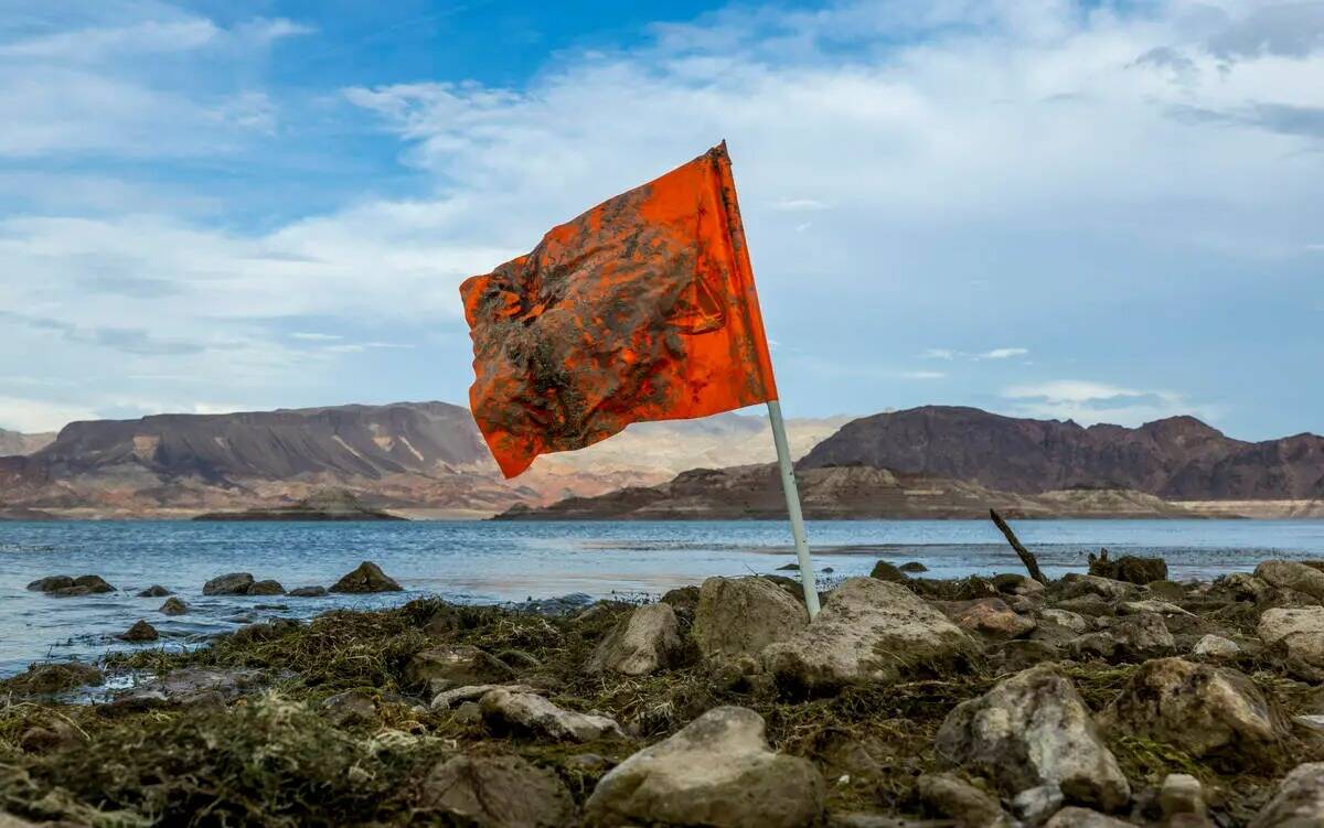 Una bandera naranja está pegada a lo largo de la línea de costa cerca de donde se encontró u ...