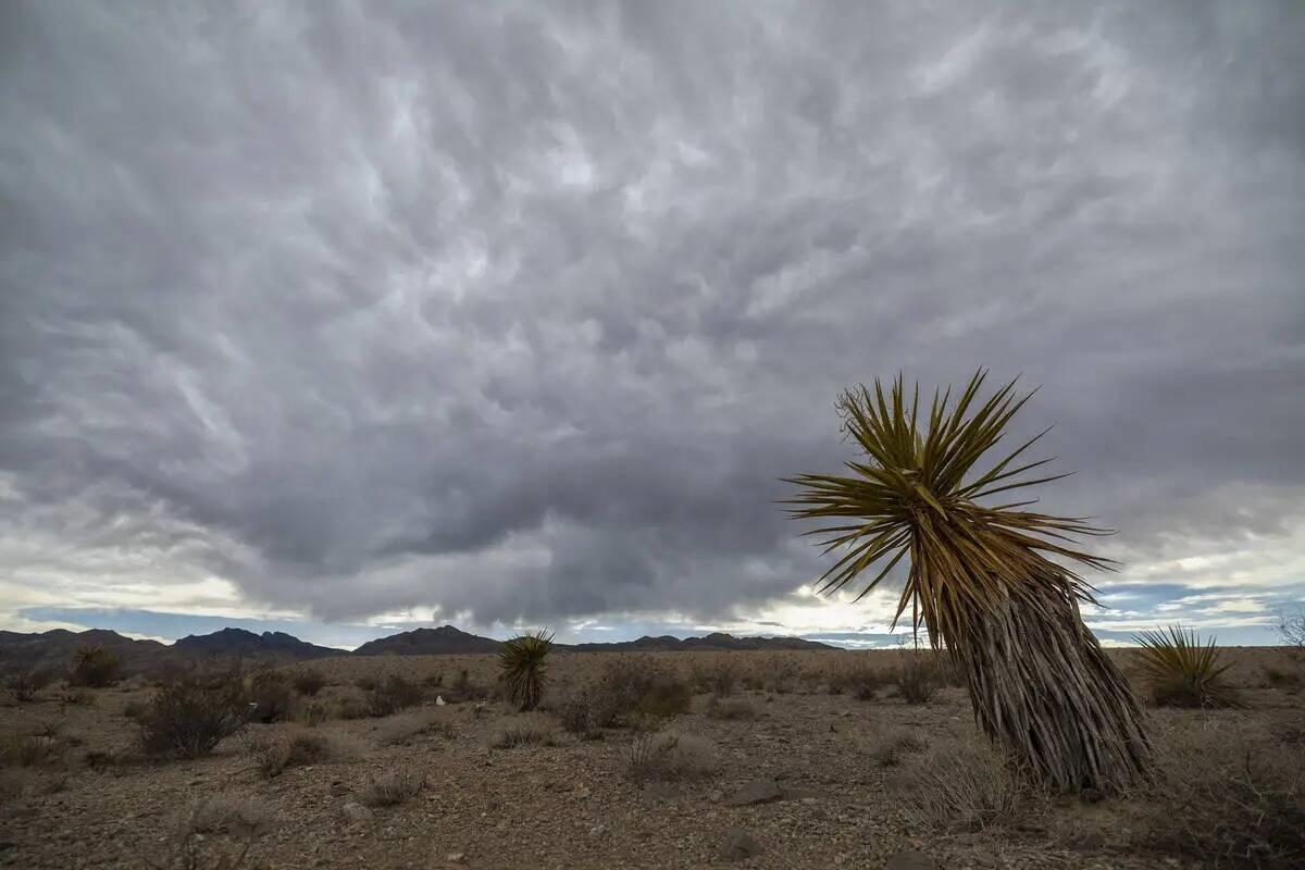 Hay un 30 por ciento de posibilidades de precipitaciones en el área de Las Vegas el jueves 25 ...