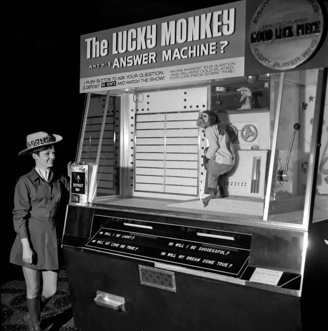 Lucky Monkey Answer Machine era uno de los actos que usaba animales vivos dentro del Circus Cir ...