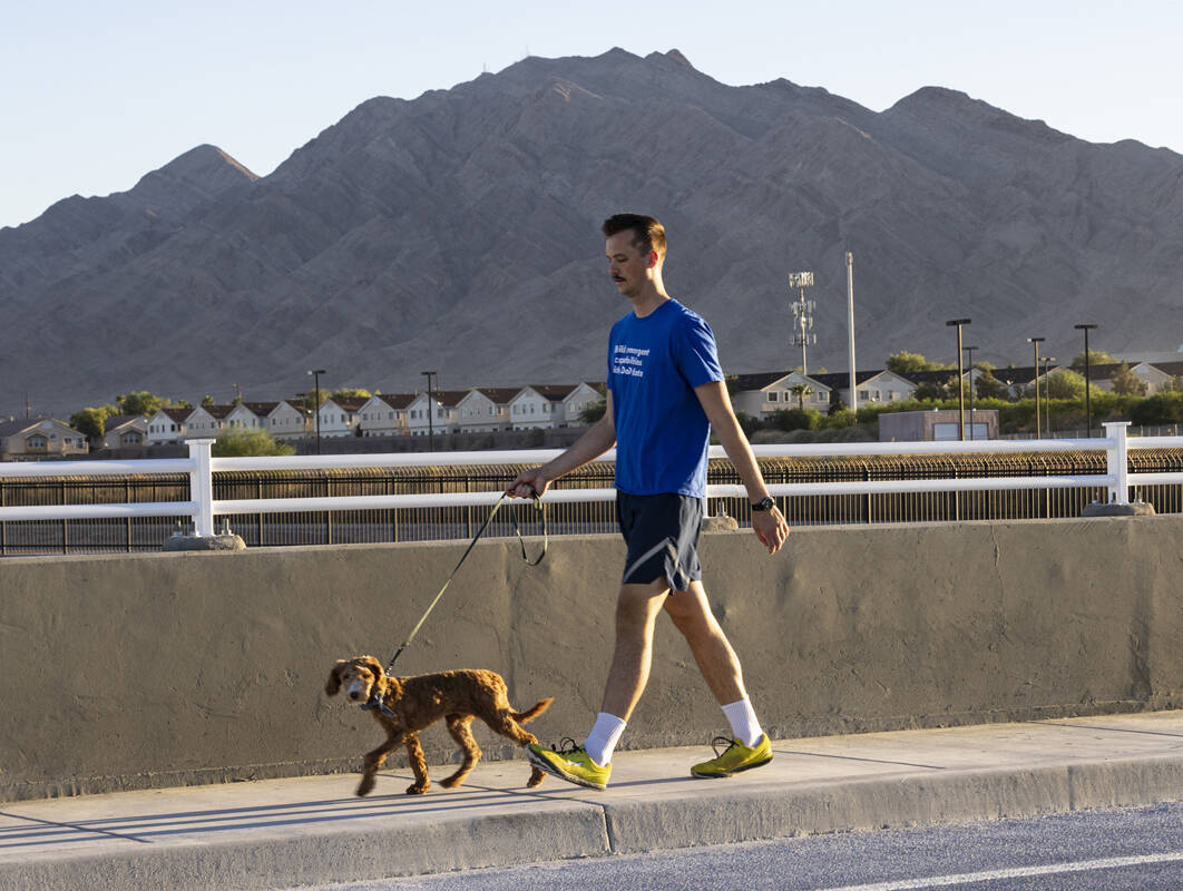 Un peatón y su perro caminan por el puente recién inaugurado, llevando Desert Inn Road sobre ...