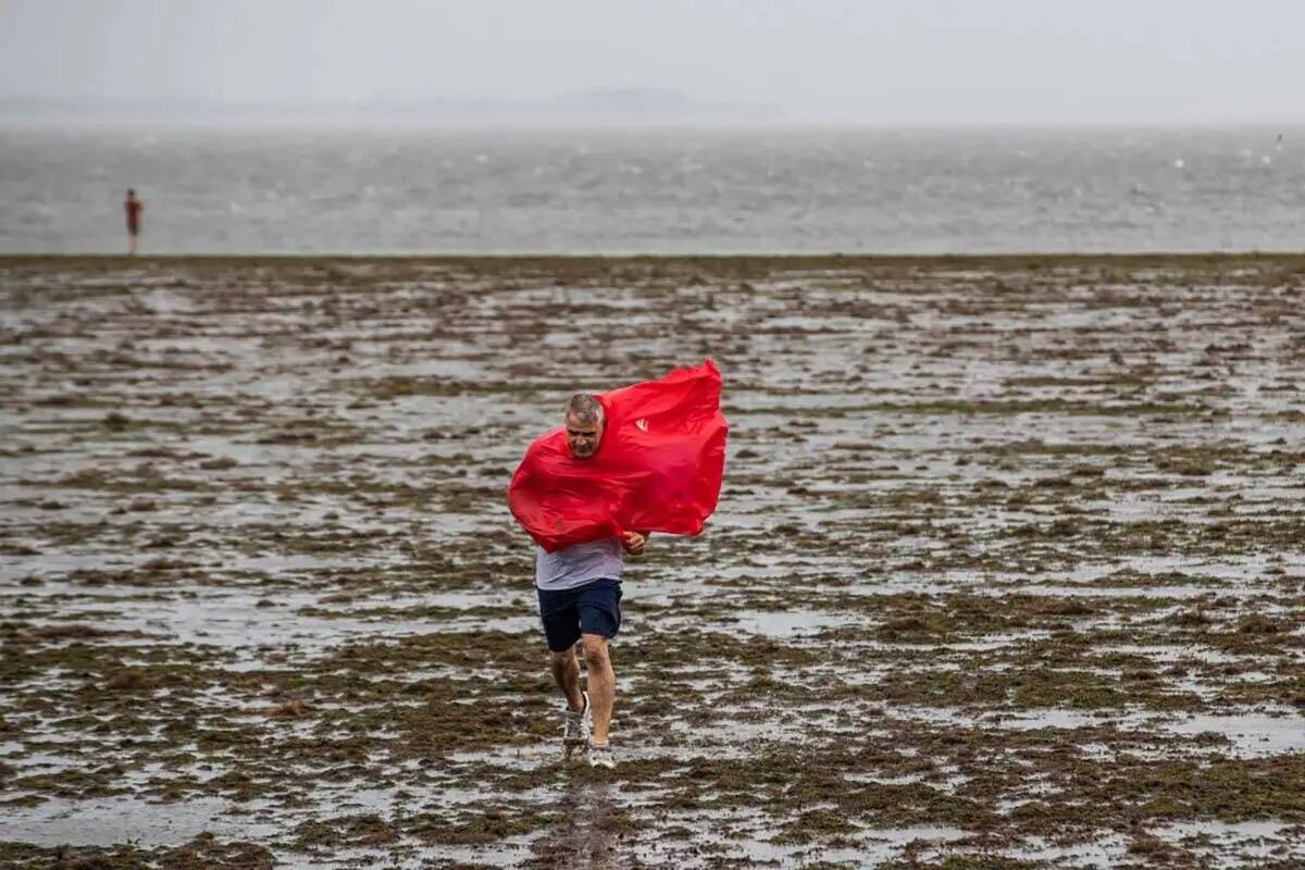 Curiosos caminan en las aguas que retroceden en Tampa Bay debido a la marea baja y los fuertes ...