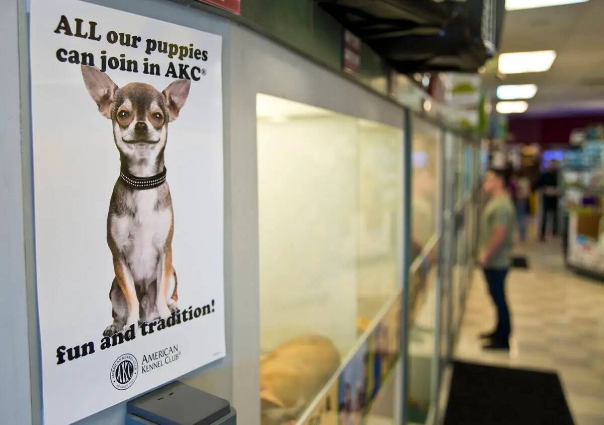 Un cartel anuncia la crianza de perros de raza pura a la venta en Petland Las Vegas el miércol ...