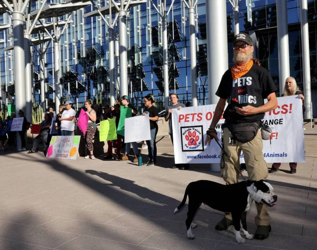 Manifestantes del refugio The Animal Foundation, entre ellos Kelly Winder con un perro callejer ...